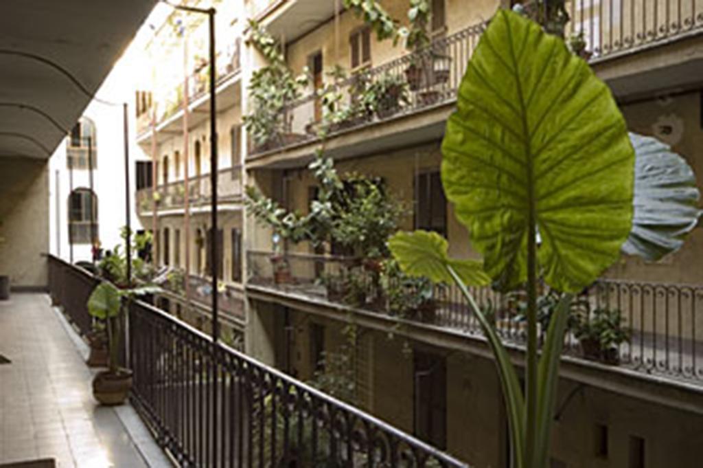 A Ca Degli Equi B&B روما المظهر الخارجي الصورة